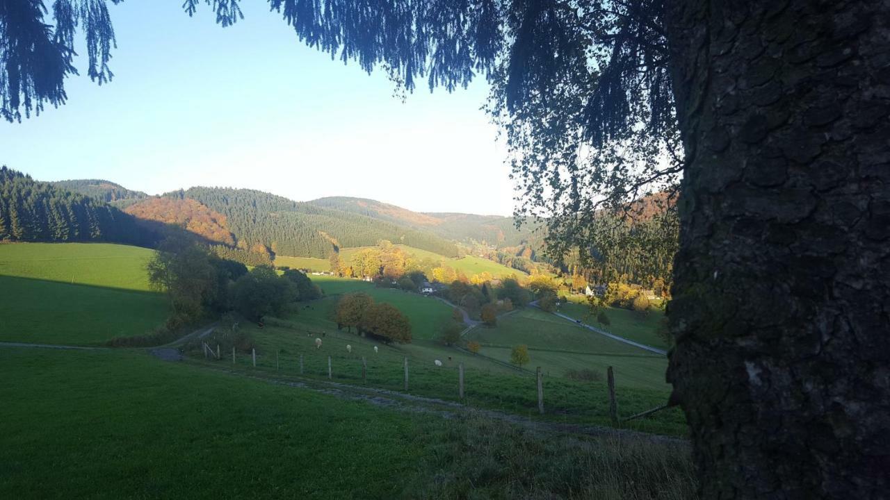 Pension Bergfrieden Schmallenberg Extérieur photo