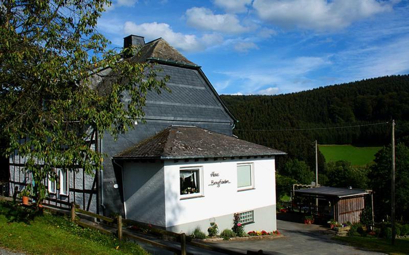 Pension Bergfrieden Schmallenberg Extérieur photo