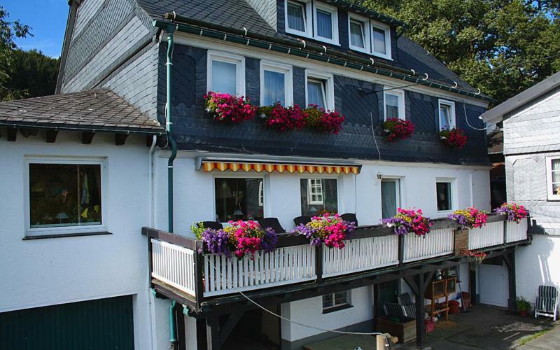 Pension Bergfrieden Schmallenberg Extérieur photo
